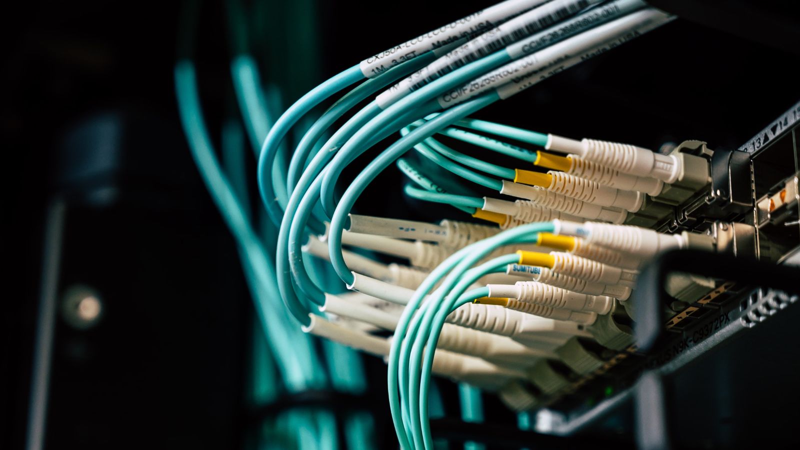 Fiber optic patch cables connected to a network switch